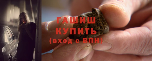 крисы Алзамай