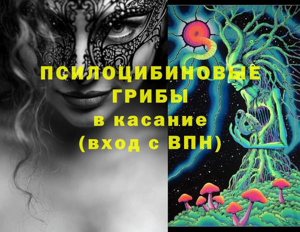 крисы Алзамай