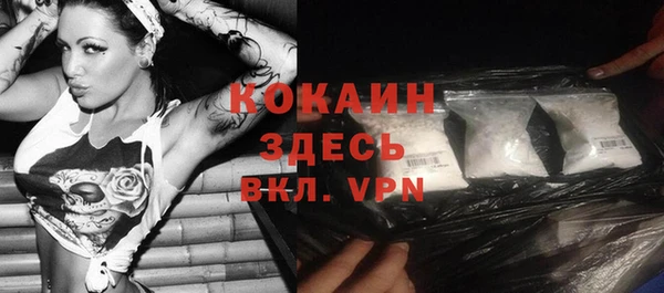 соль ск Абаза